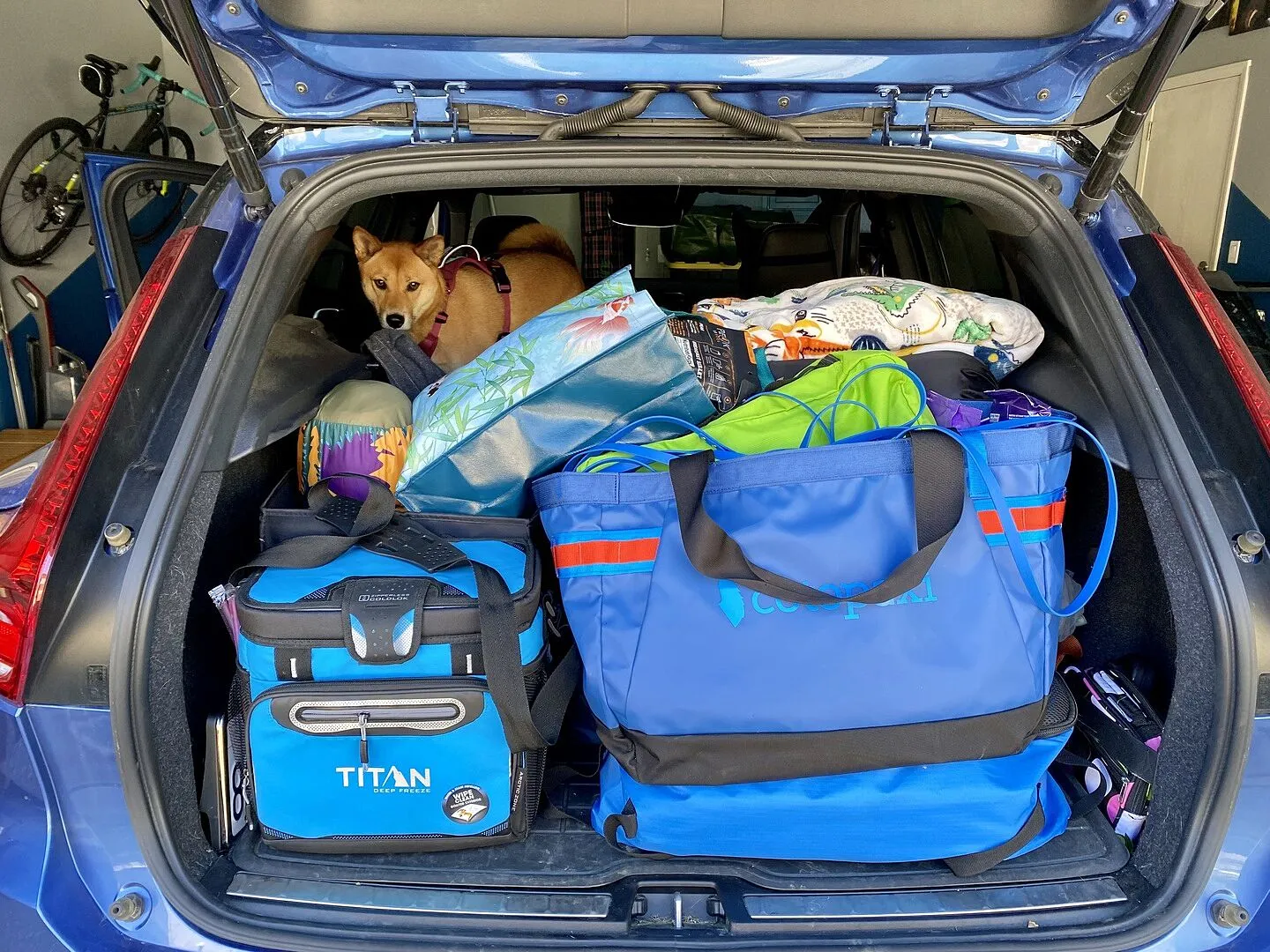 Cotopaxi Allpa 30L Gear Hauler tote Del Día 30L recyclé