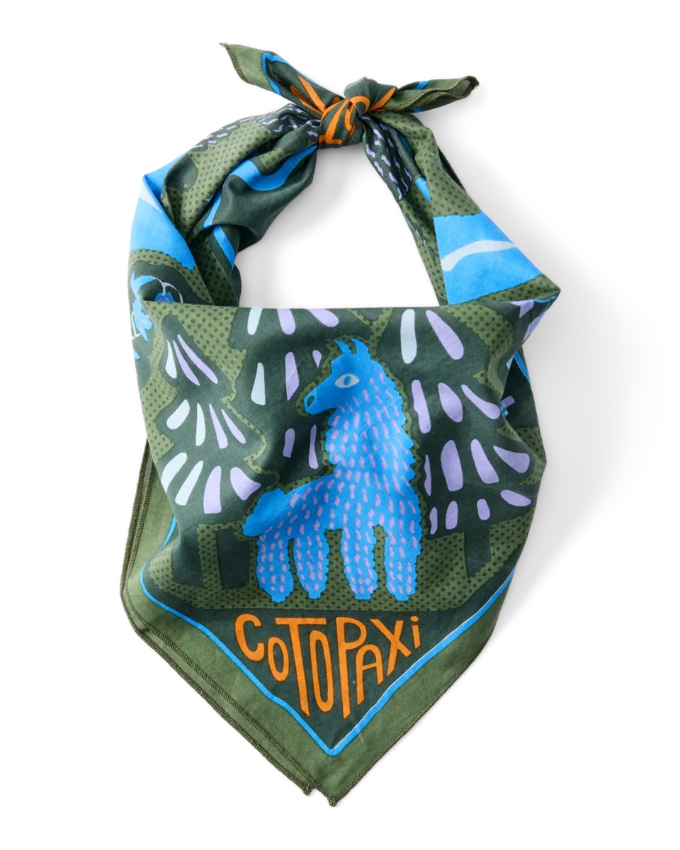 Cotopaxi Organic Cotton bandana Llama Camp coton bio