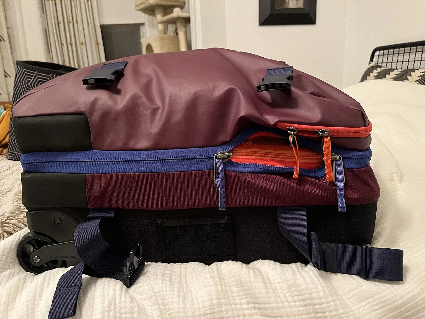 Cotopaxi Allpa 38L valise à roulettes cabine déhoussable