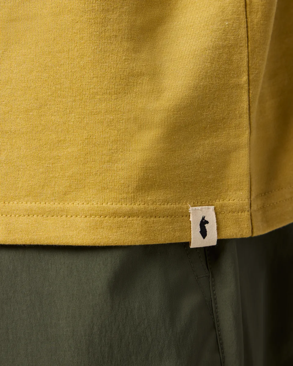 Cotopaxi Cuatro Bitmap T-shirt Homme Husk Coton Bio