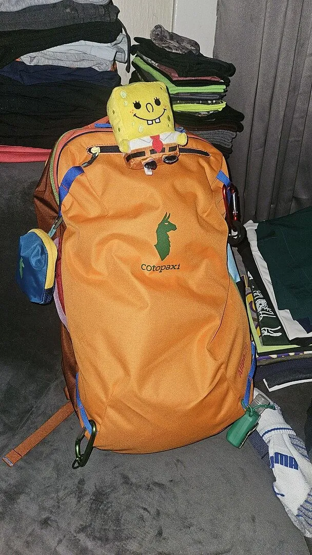 Cotopaxi Allpa 28L sac à dos voyage Del Día 1-2 jours