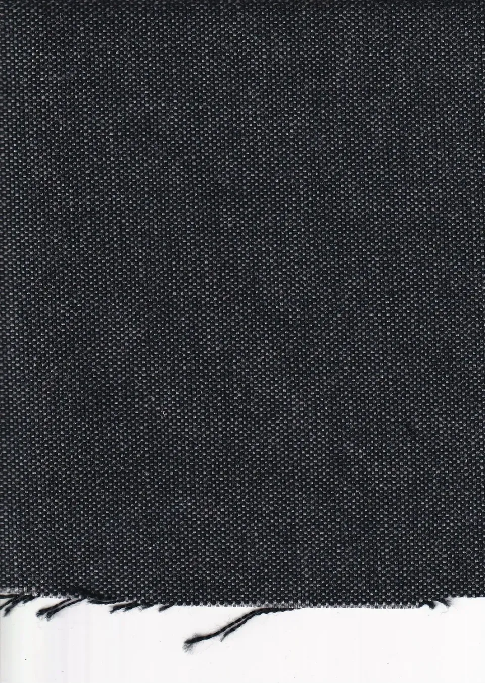 Hollington tissu coton oxford charcoal au mètre