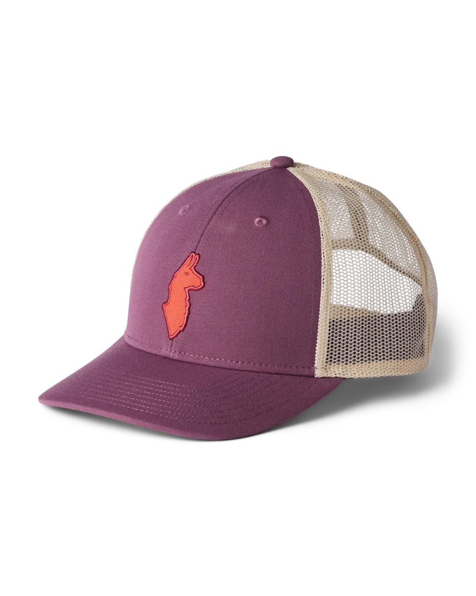 Cotopaxi Llama casquette trucker Everglade recyclée