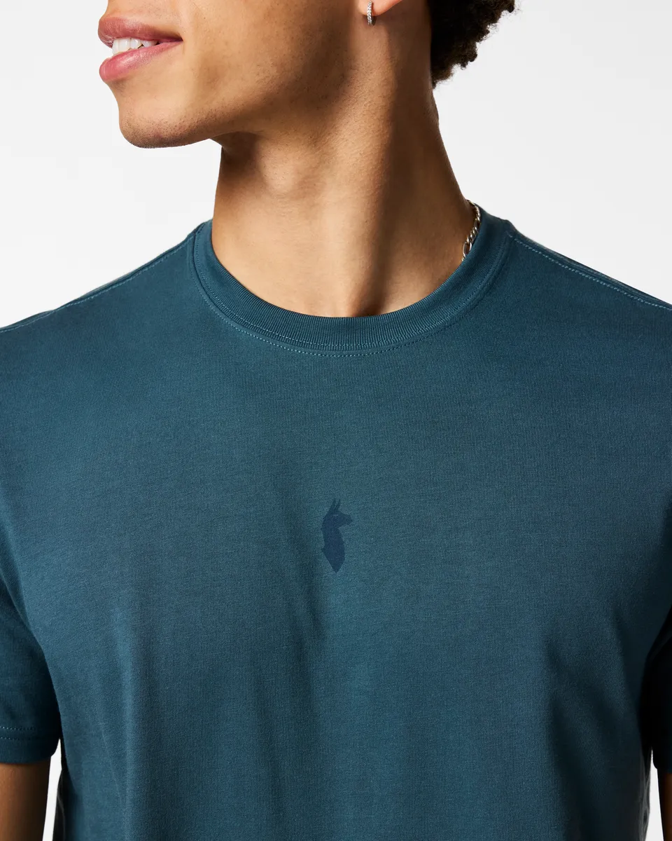 Cotopaxi Llama Icon t-shirt homme Ocean coton bio