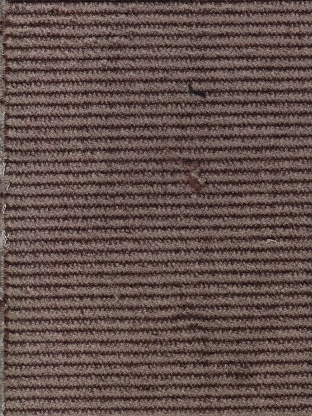 Hollington tissu velours coton café au lait stretch au mètre