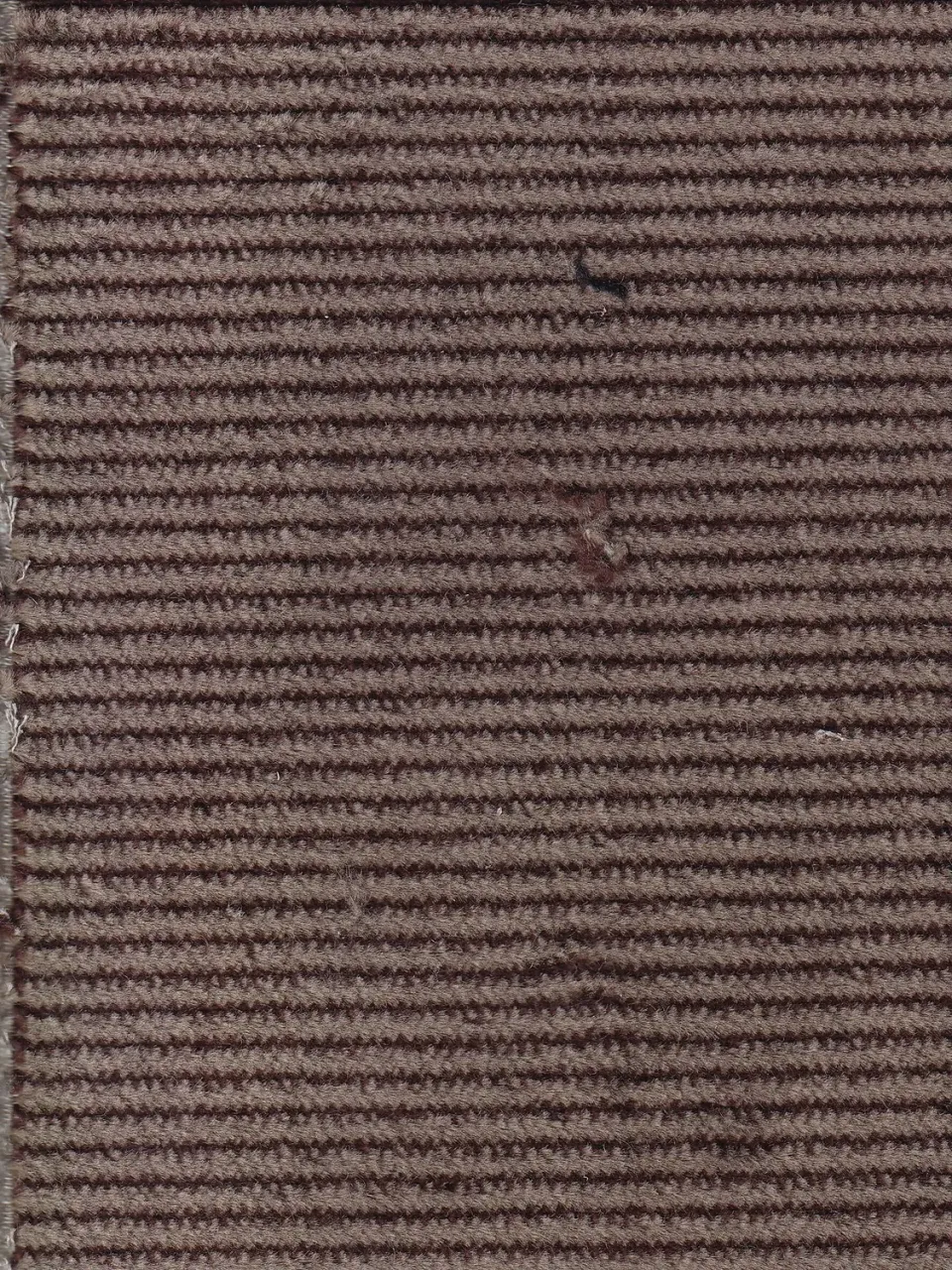 Hollington tissu velours coton café au lait stretch au mètre