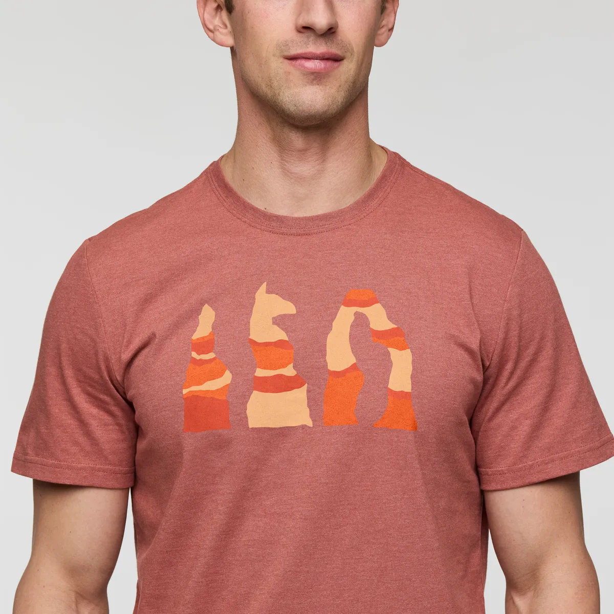 Cotopaxi Llama Hoodoo t-shirt homme Nutmeg coton bio