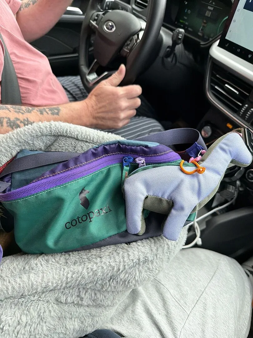 Cotopaxi Del Día Bataan 3L sac banane réglable