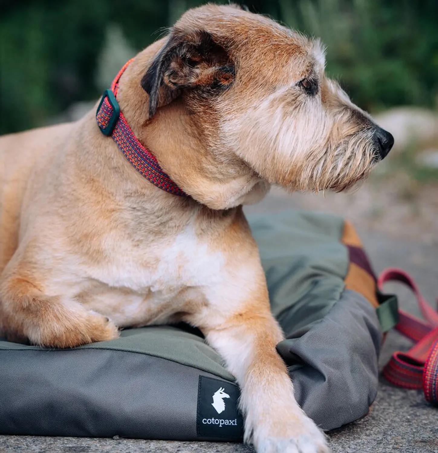 Cotopaxi Del Día Dog Bed panier chien M déhoussable