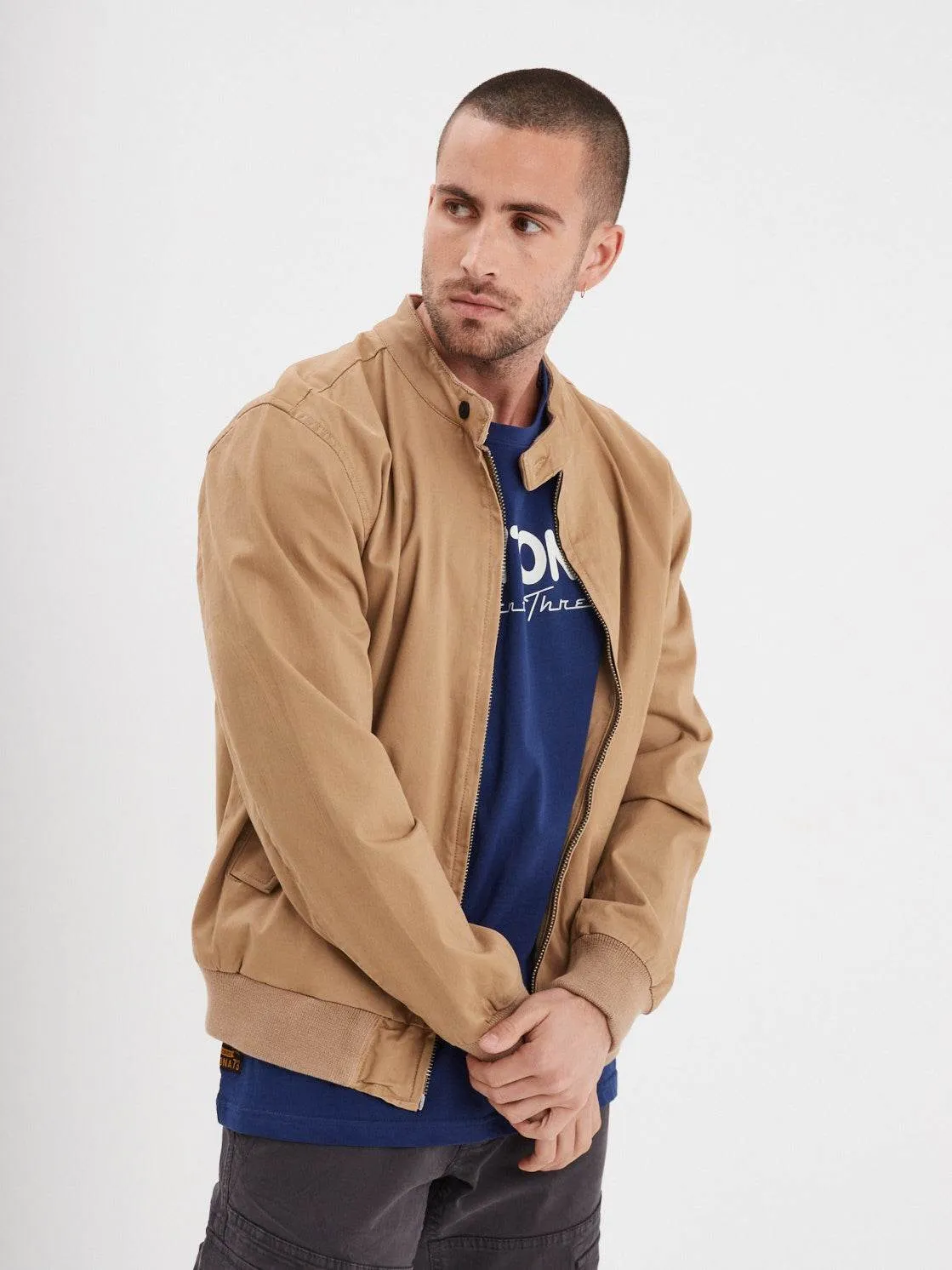 DAYTONA Lennox veste homme coton sergé coupe bomber