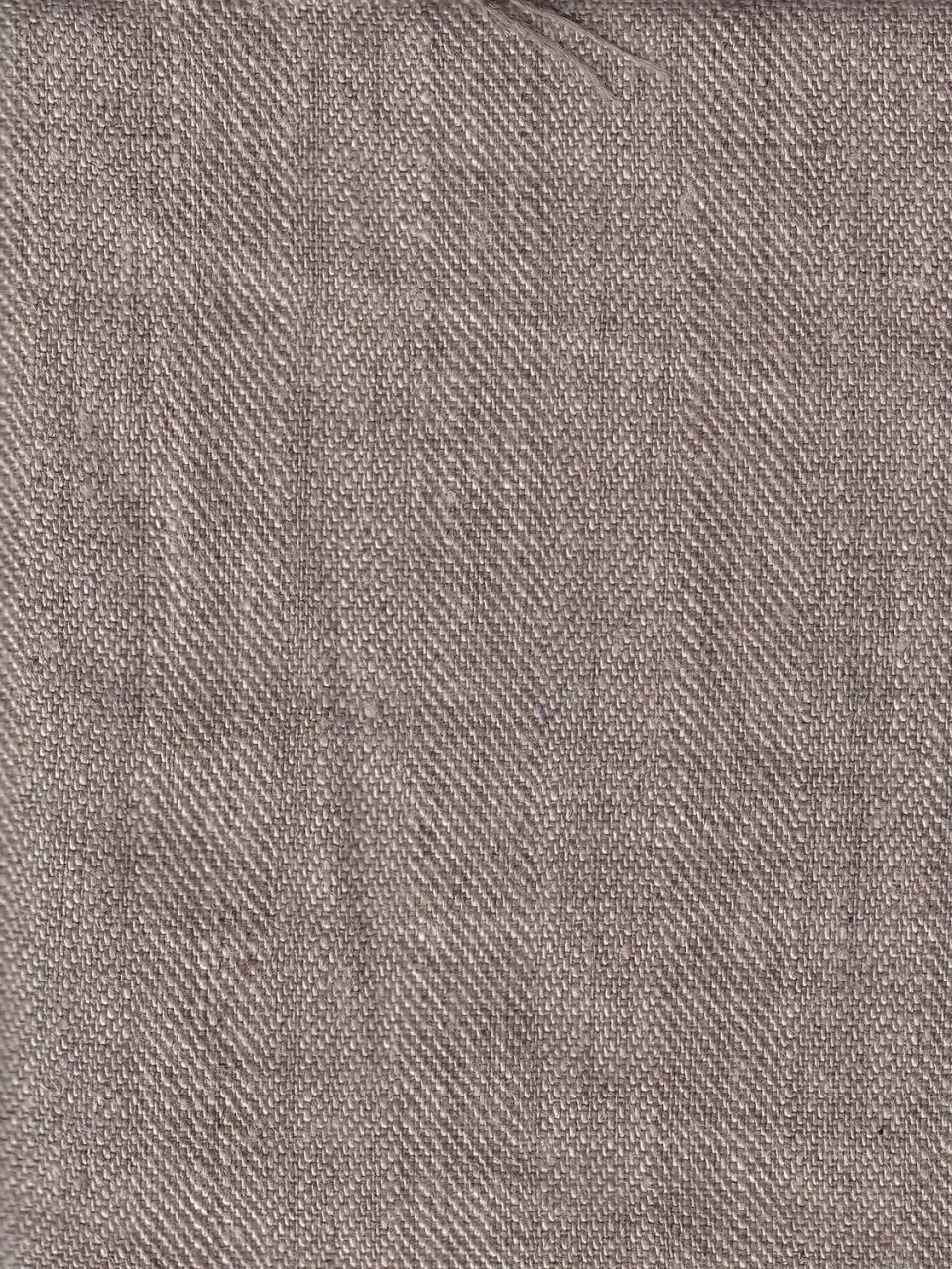 HOLLINGTON toile pur lin grège tissu au mètre 2 m
