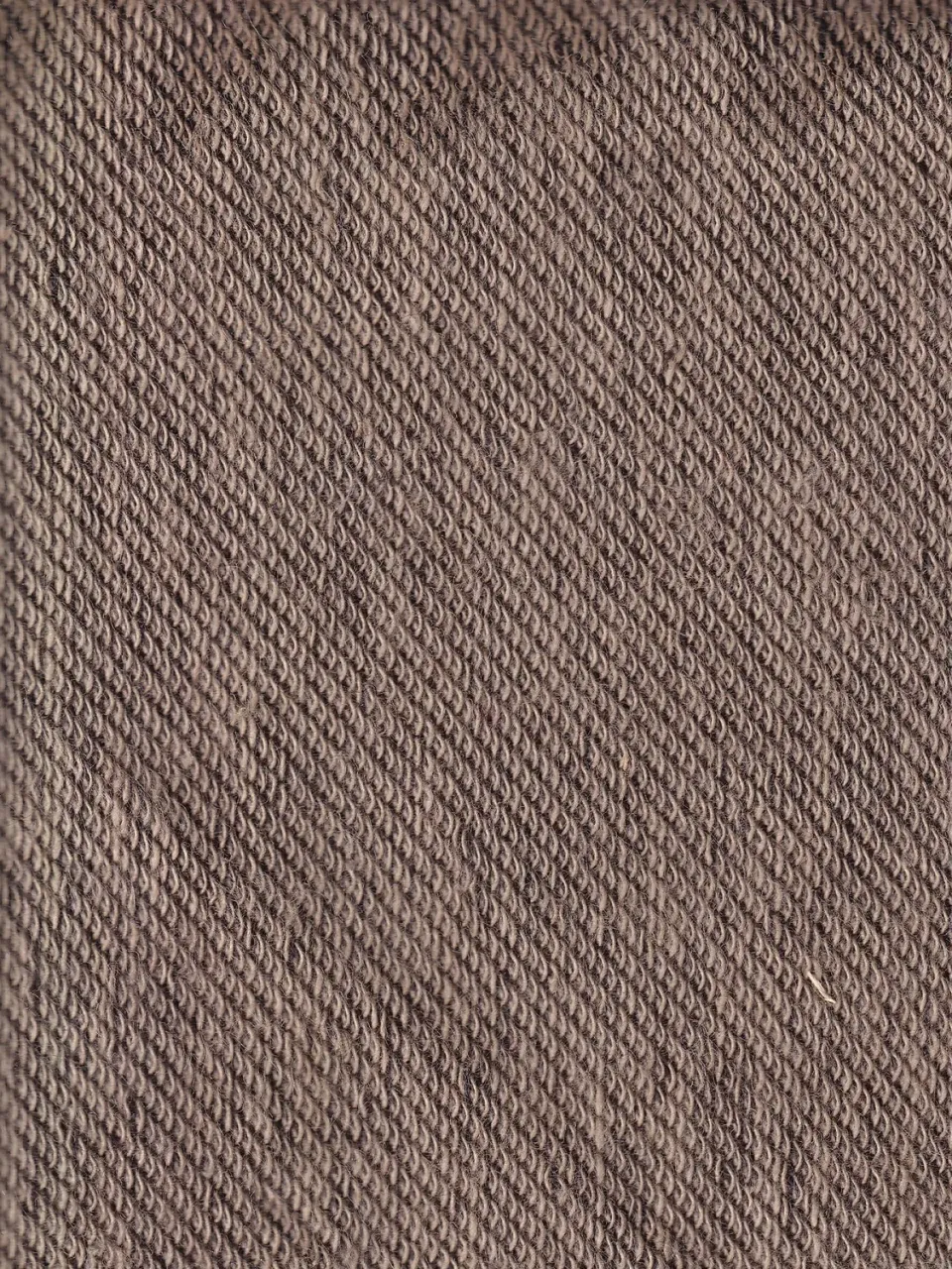 Hollington tissu jersey double face café latte coton