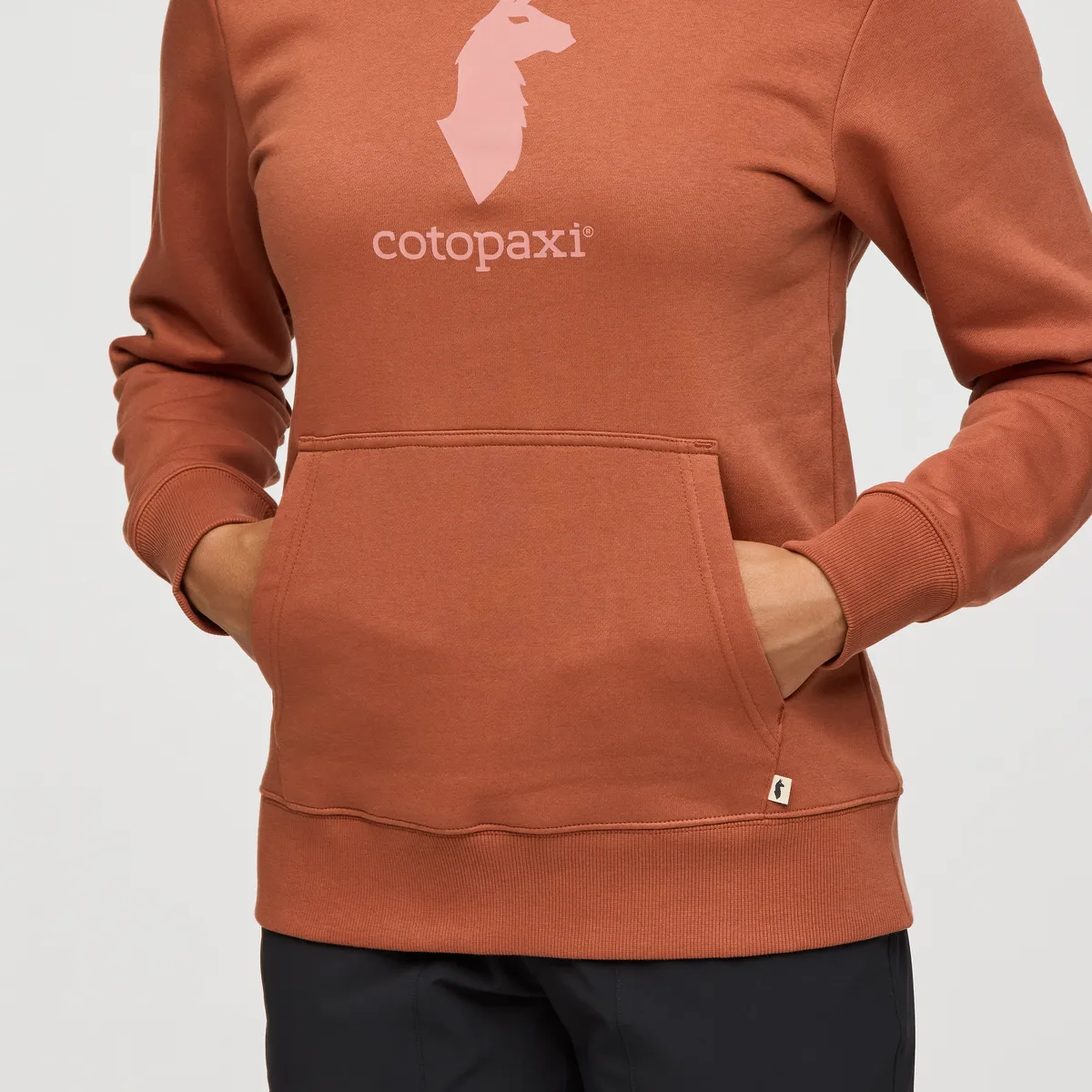 Cotopaxi Llama sweat capuche femme Faded Brick molleton