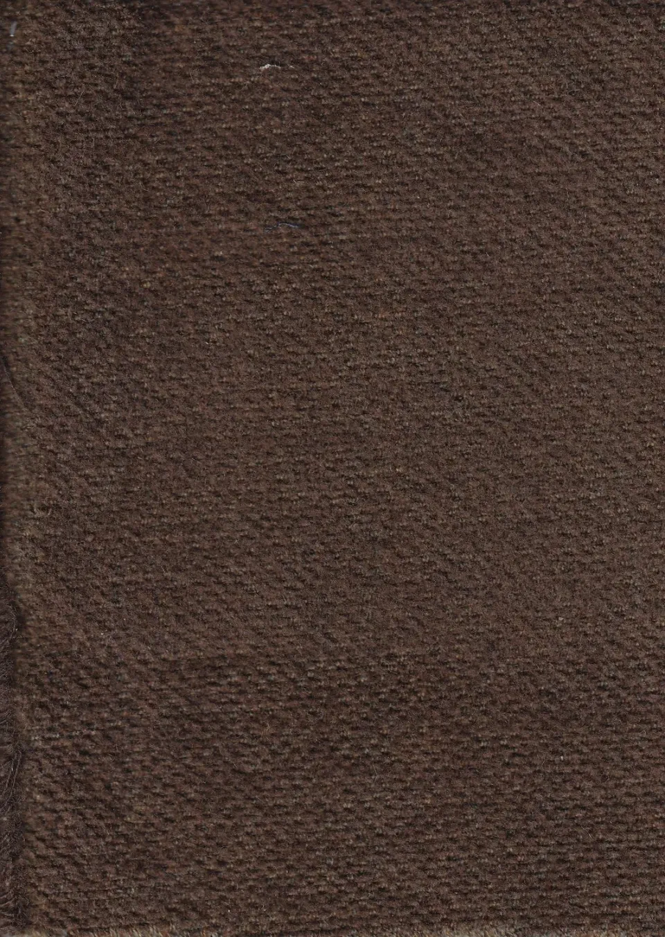 Hollington tissu chenille écureuil 7 m laine