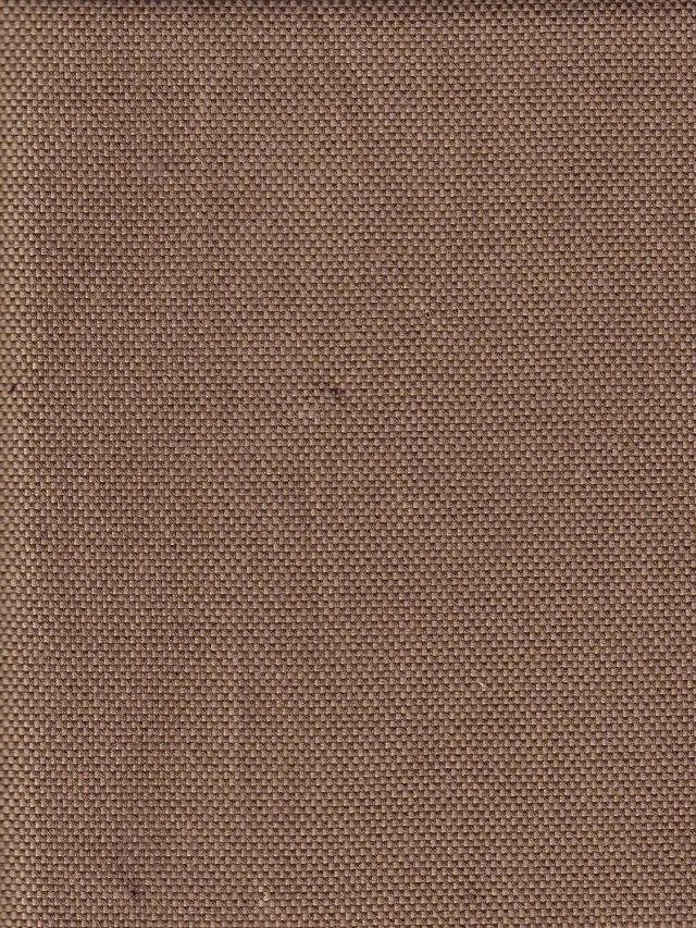 Hollington toile coton café au lait tissu 5 m