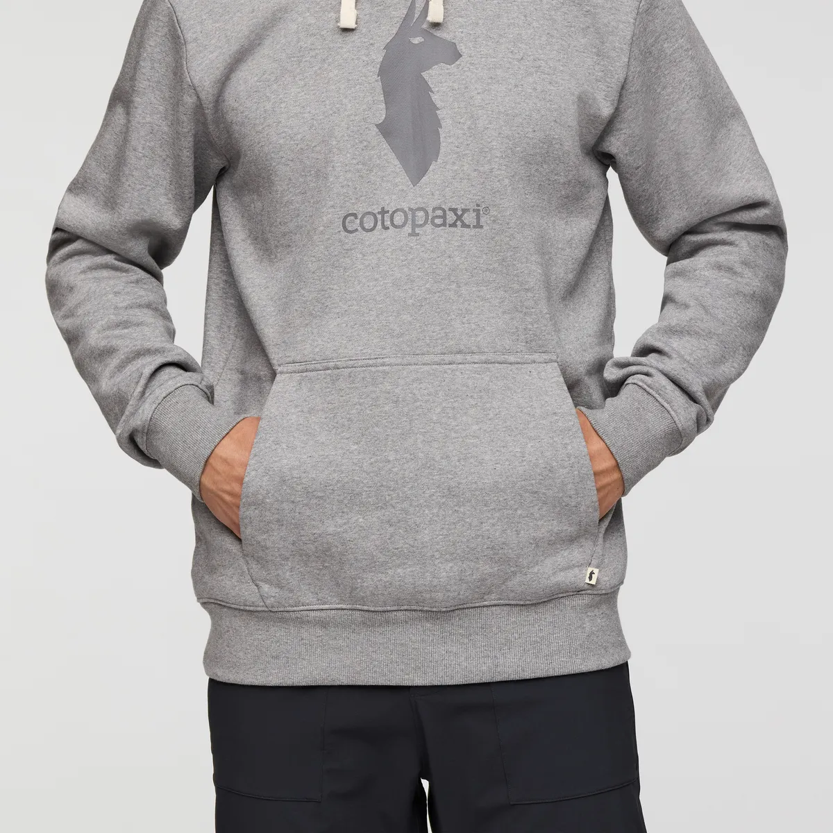 Cotopaxi Llama pullover hoodie homme gris doux