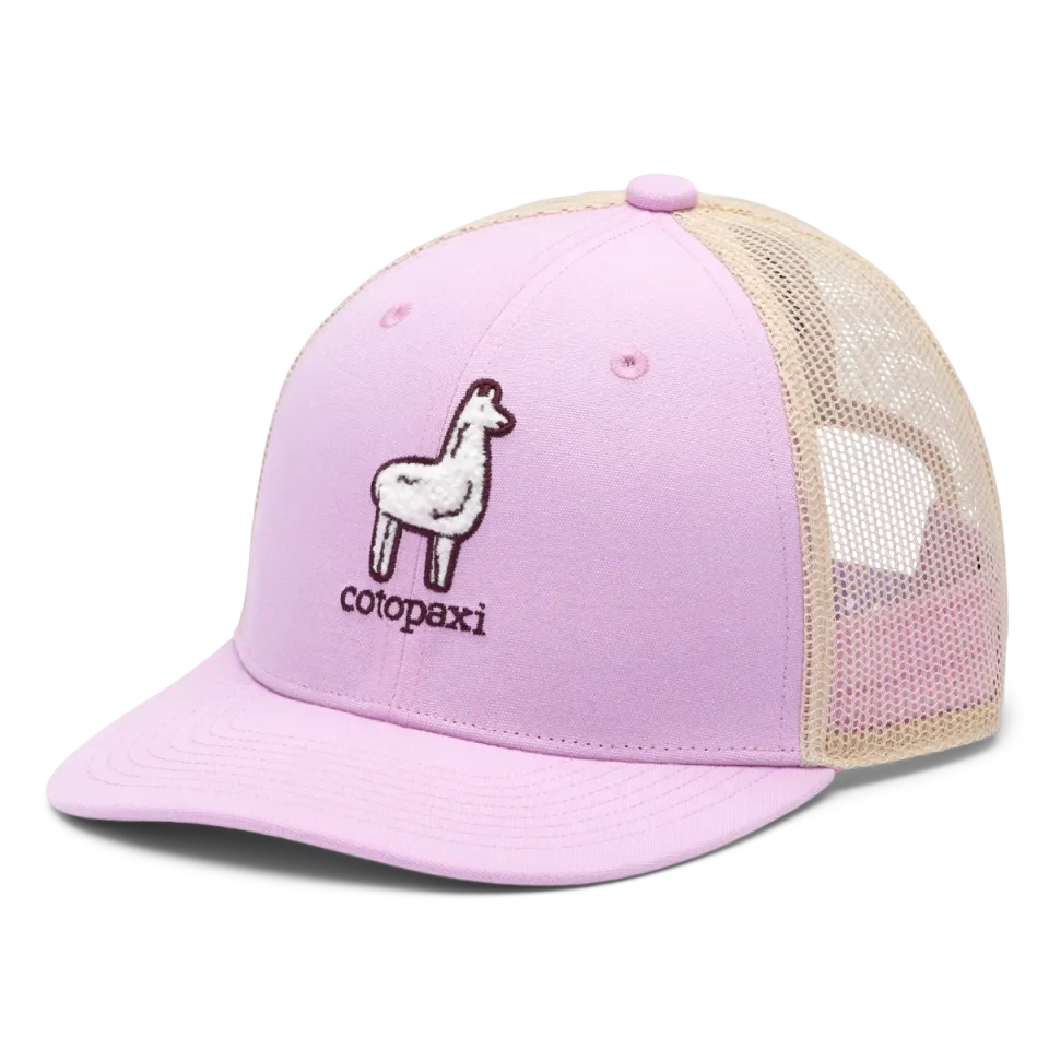 Cotopaxi Tiny Llama casquette enfant Orchid polaire