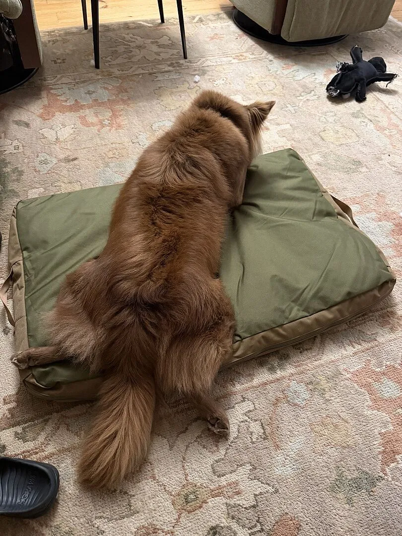 Cotopaxi Del Día Dog Bed panier chien M déhoussable