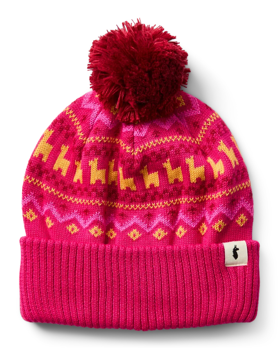 Cotopaxi Cumbre 2.0 bonnet chaud héritage