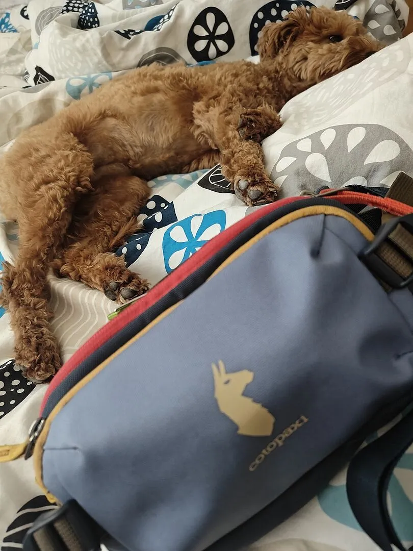 Cotopaxi Allpa X 1.5L mini banane 1,5 L légère
