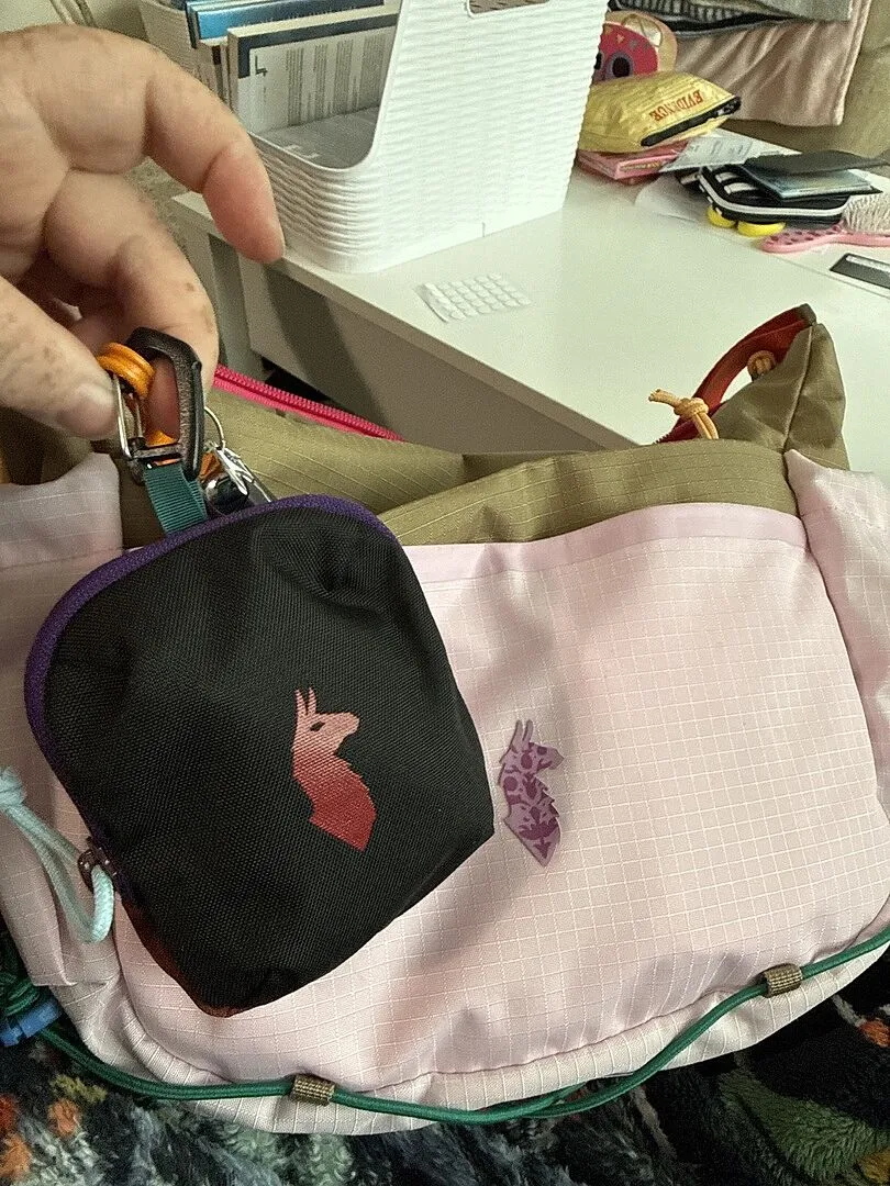 Cotopaxi Allpita Mini Bag pochette Del Día à carabine