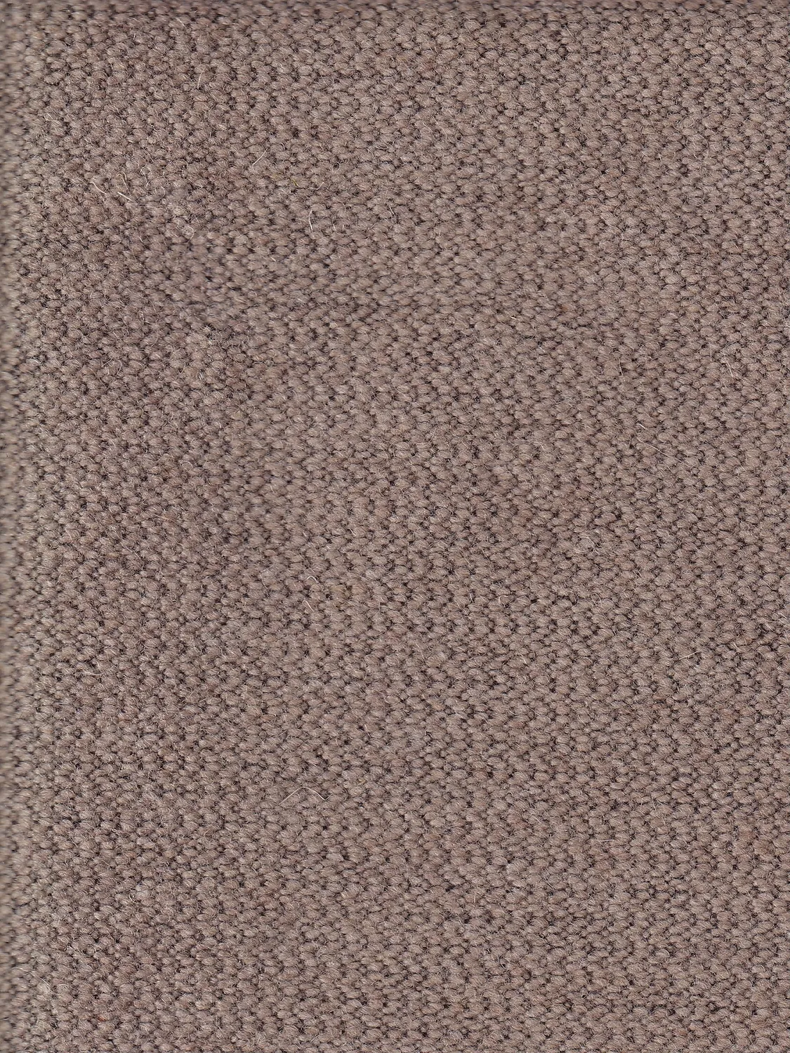 HOLLINGTON toile laine coton chocolat tissu 5 m
