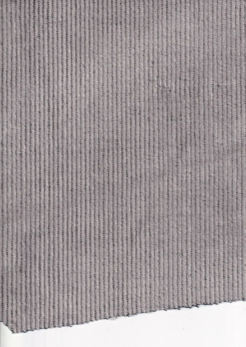 Hollington Ours Blanc tissu velours coton gris 5 m stretch