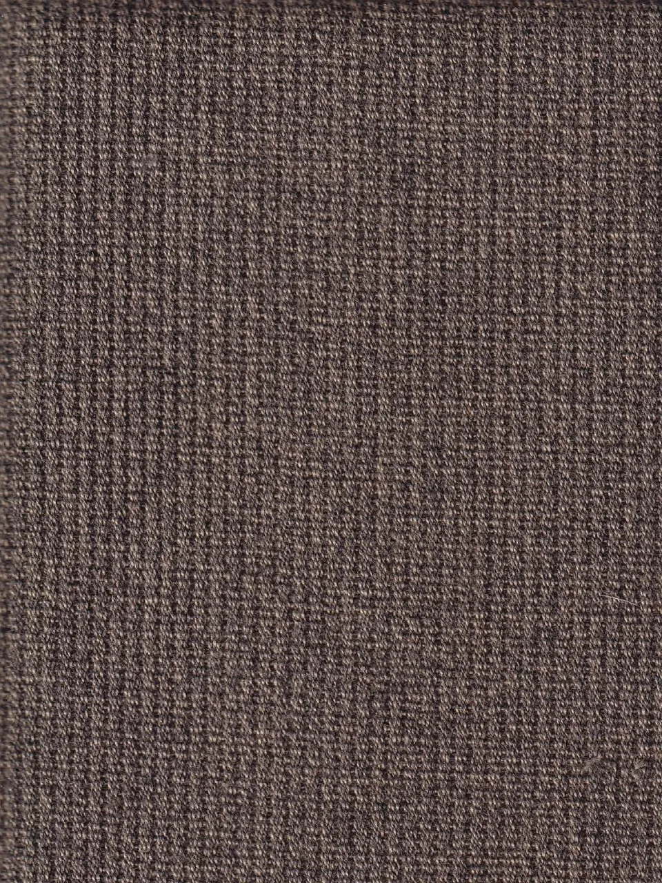 Hollington tissu whipcord de laine noisette 100% laine