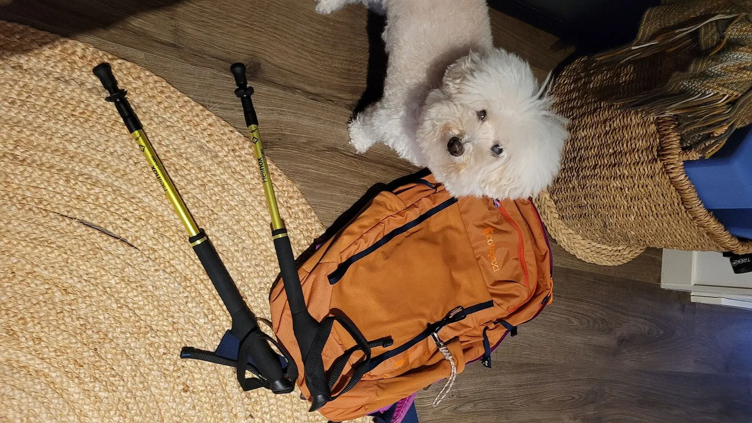 Cotopaxi Lagos 25L sac à dos randonnée avec poche à eau