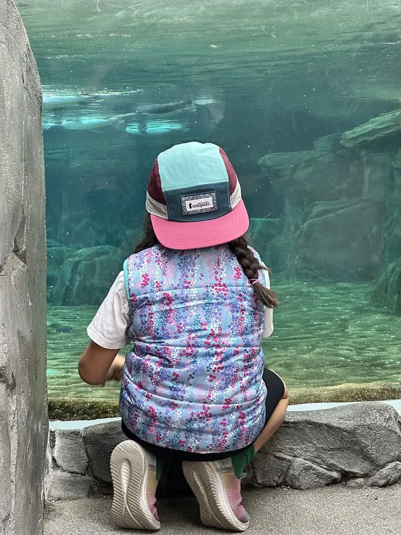 Cotopaxi Altitude Tech 5-Panel casquette été légère