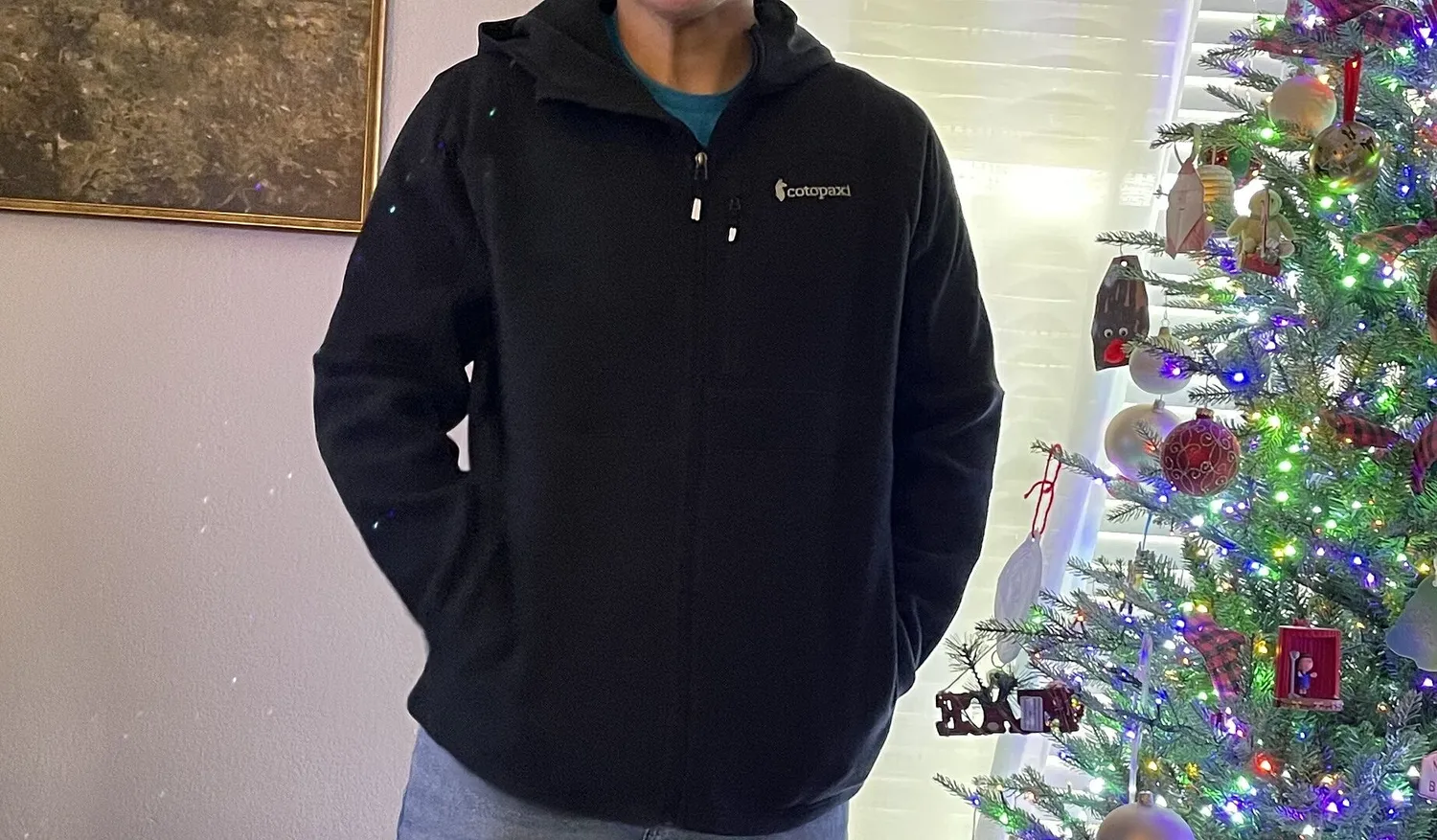 Cotopaxi Abrazo veste polaire homme Woods chaude