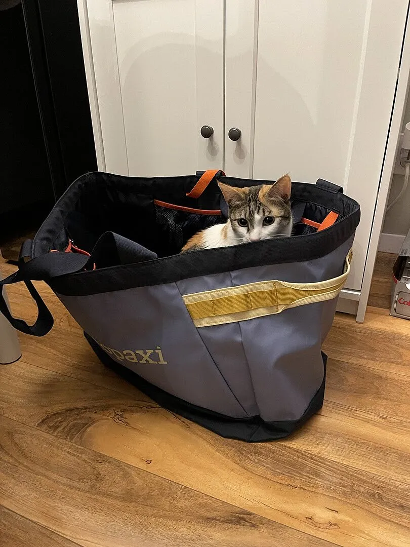 Cotopaxi Allpa 60L sac fourre-tout 60 L déperlant