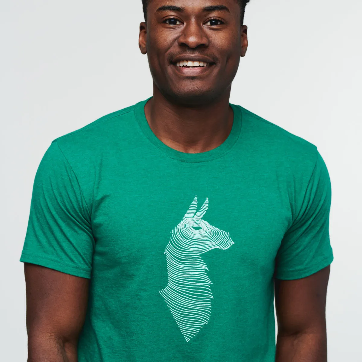 Cotopaxi Topo Llama T-Shirt t-shirt homme Canyon coton recyclé