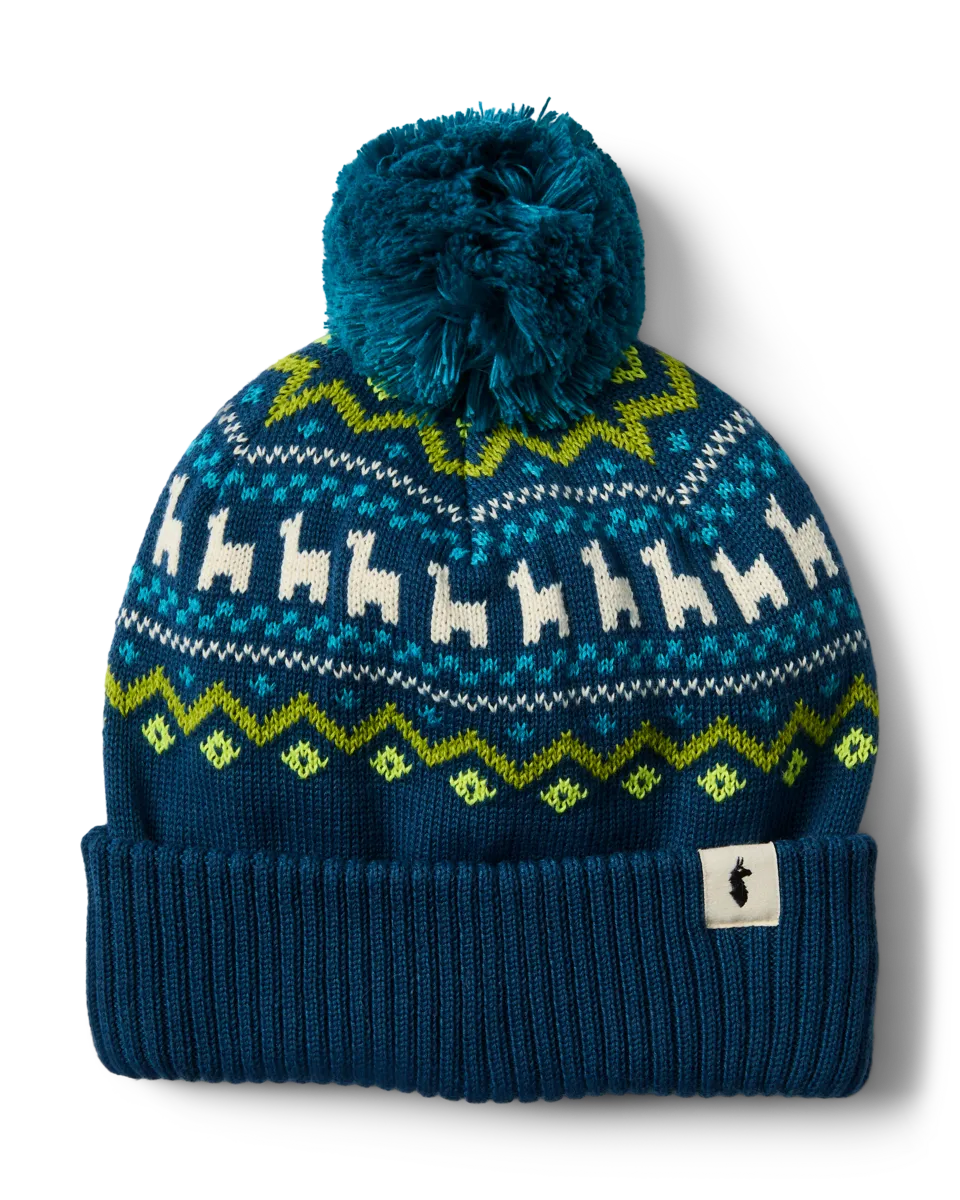 Cotopaxi Cumbre 2.0 bonnet chaud héritage