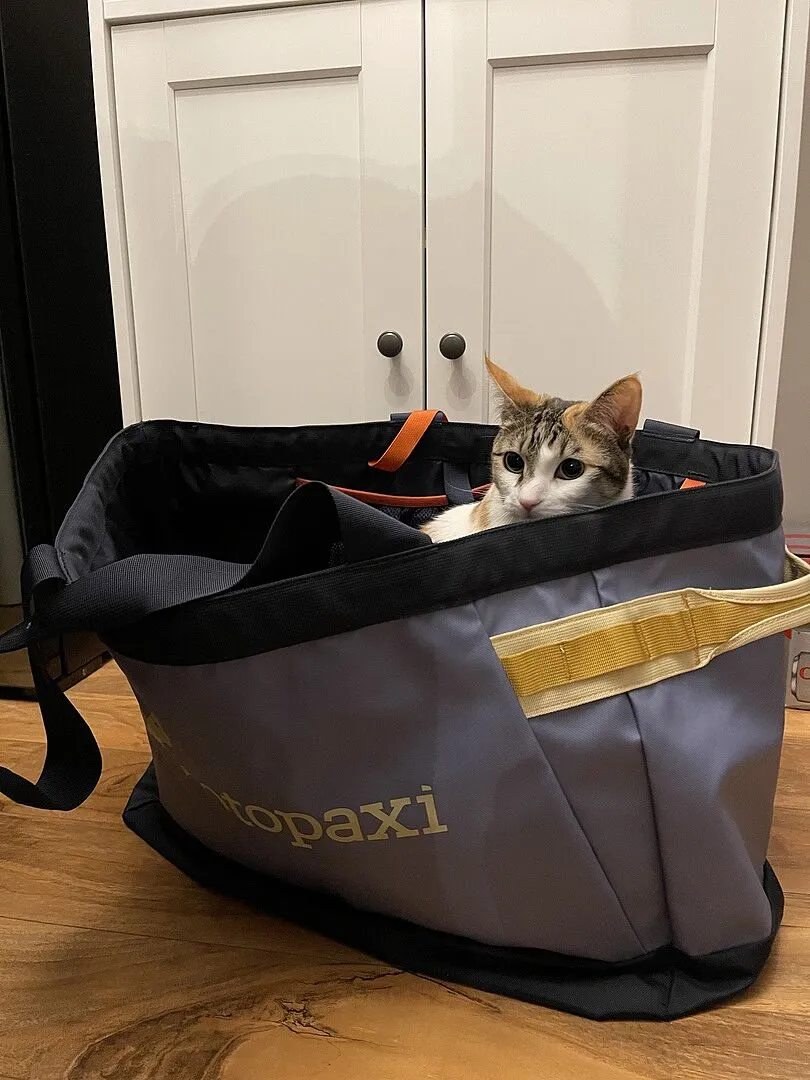 Cotopaxi Allpa 60L sac fourre-tout 60 L déperlant