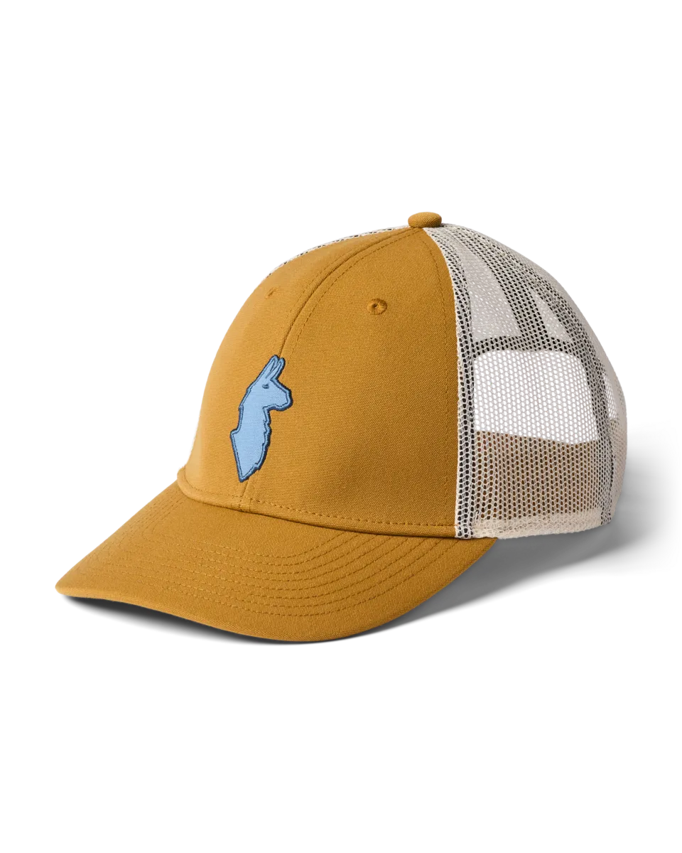 Cotopaxi Llama casquette Foam trucker recyclée